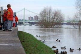 Rheinhochwasser Köln- Rodenkirchen 9. Jan.2011