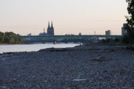 Bilder vom Niedrigwasser in Köln vom 9.05.11