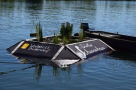 Eine Schwaneninsel am Sürther Bootshaus!