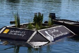 Eine Schwaneninsel am Sürther Bootshaus!