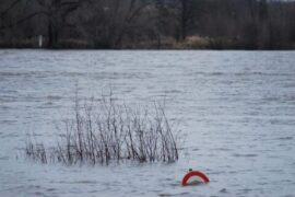 Bilder vom Rheinhochwasser am 8.01.12 in Köln Rodenkirchen