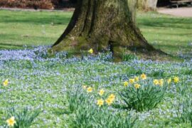 Frühling in der Flora Köln